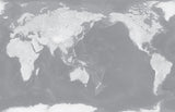 World Map - Silver